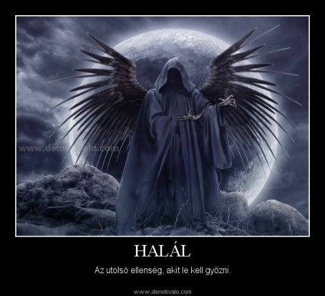 halal.jpg